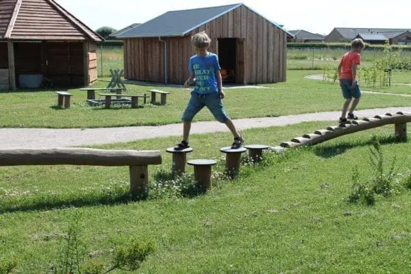 Balancetrin ø:40cm - Image 2
