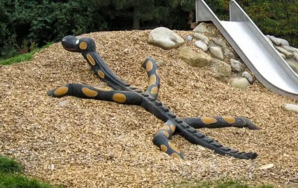 klatresalamander - Image 2