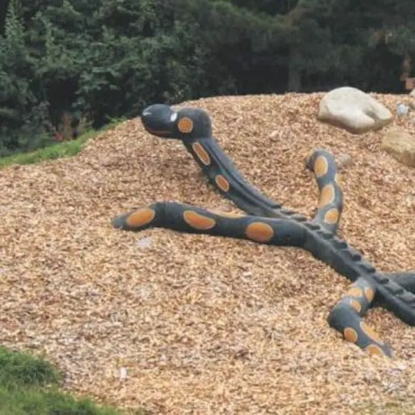klatresalamander - Image 3