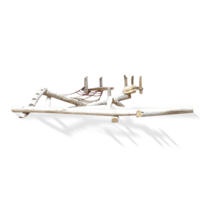liggende klatresalamander