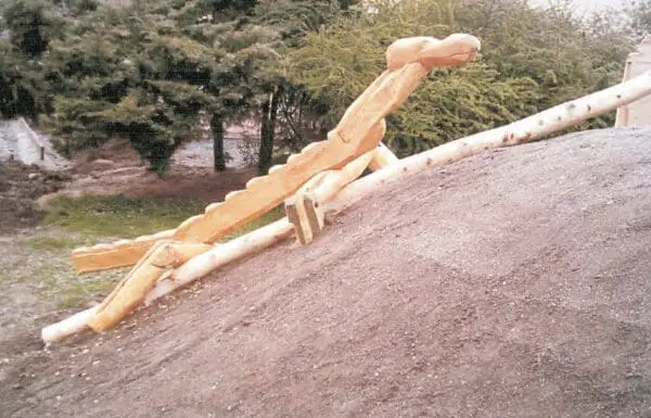 kravlende klatresalamander - Image 2