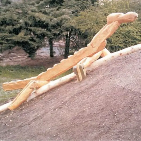 kravlende klatresalamander - Image 3