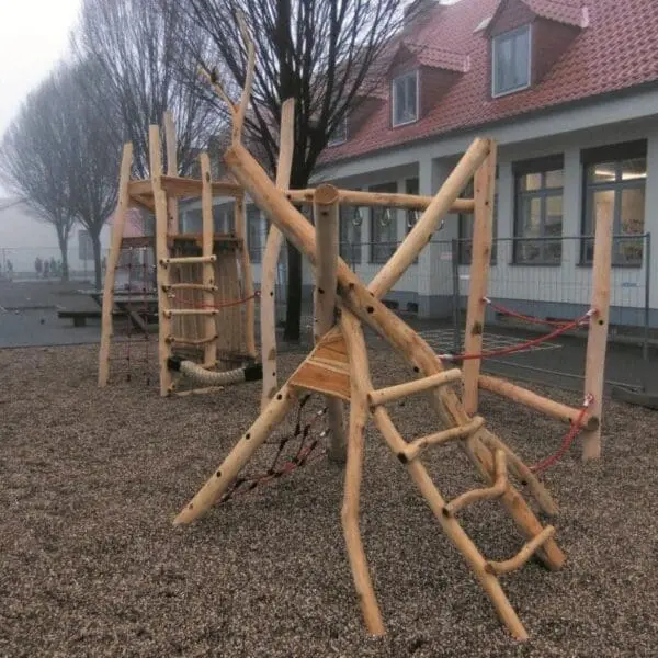 kamillas klatresti - Image 3