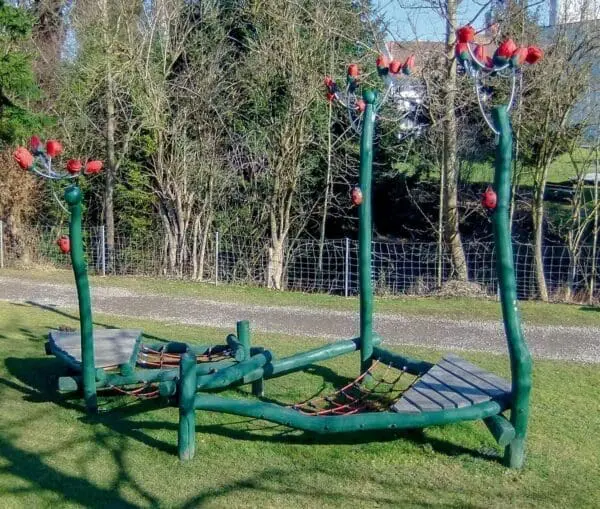 rosenbedets balancebane - Image 2