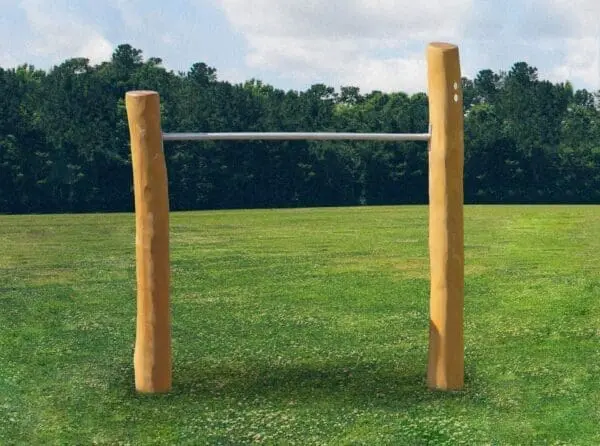 kolbøttestang 1 - Billede 2