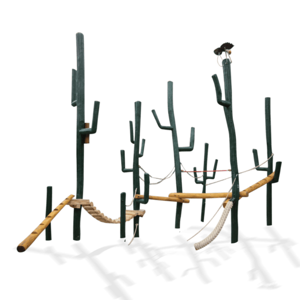 kaktus klatresystem