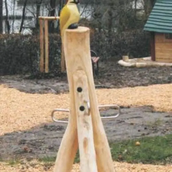 den grønne spætte karrusel - Image 3