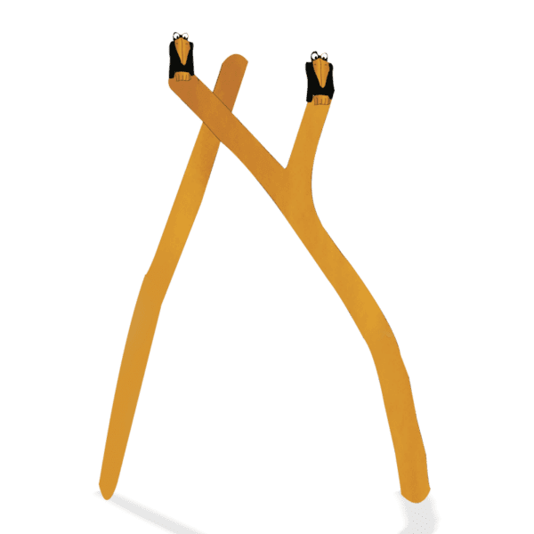 ravneport