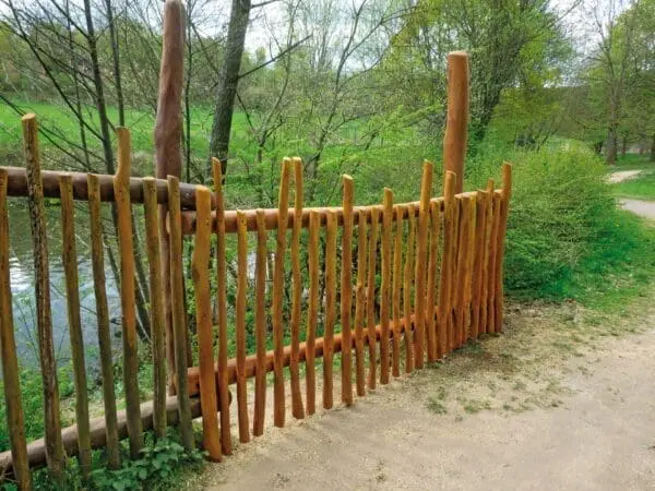 pindehegn (pris pr. meter) - Image 2
